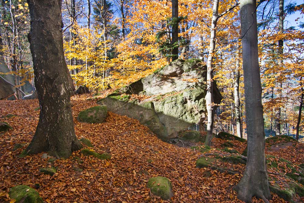 Podzim ve Vrzavých skalách
